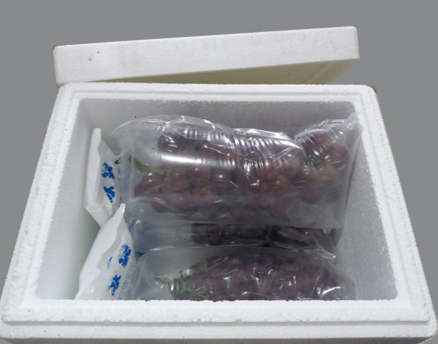 易腐货物常用包装 易腐货物常用包装