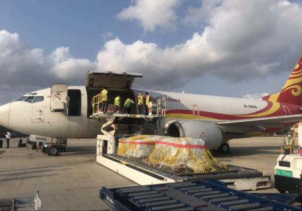 广州到三亚凤凰机场空运专线 广州到三亚凤凰机场空运专线