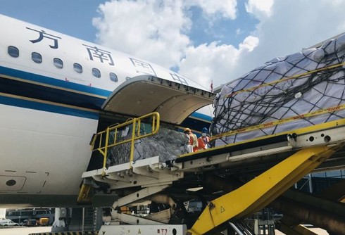 广州到宜宾五粮液机场空运 广州到宜宾五粮液机场空运