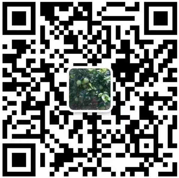 宁波货运公司微信二维码