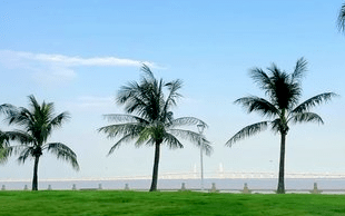 广州至珠海物流公司途径情侣路 广州至珠海物流公司途径情侣路