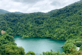 广州至肇庆物流公司经过鼎湖山景区 广州至肇庆物流公司经过鼎湖山景区