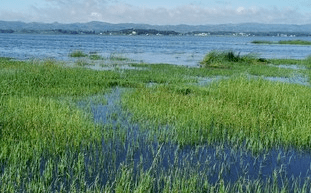广州至毕节物流公司途径草海风景区 广州至毕节物流公司途径草海风景区